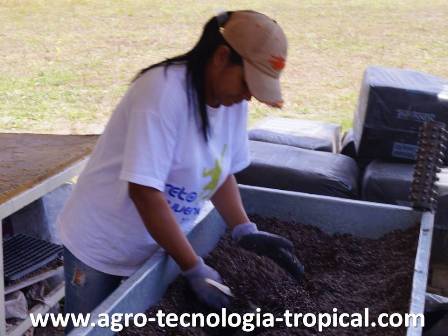 la humedad del sustrato debe ajustarse convenientemente